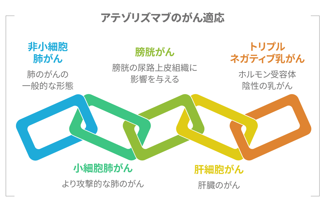 アテゾリズマブが効果を発揮するがん種一覧図