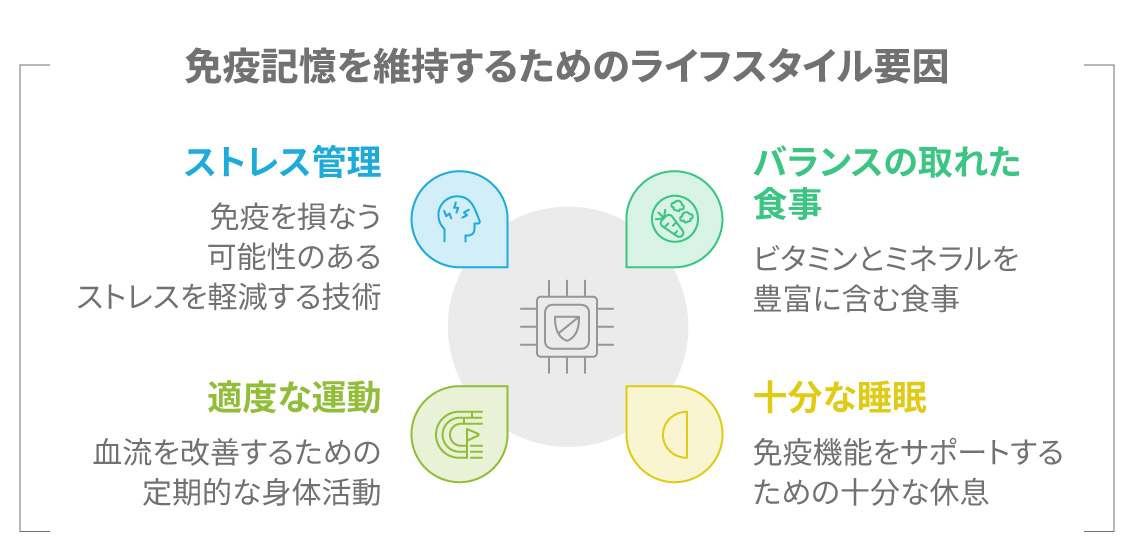 免疫記憶を強化する生活習慣の図解