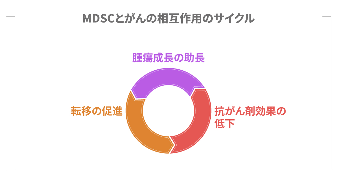MDSCの免疫抑制メカニズムを説明する図