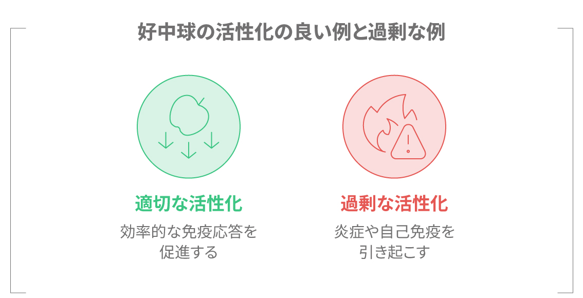好中球の活性化の良い例と過剰な例の比較図