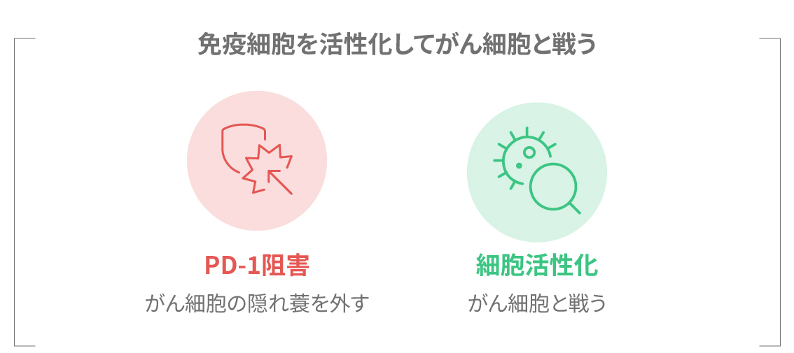免疫チェックポイント阻害薬の作用メカニズム図解