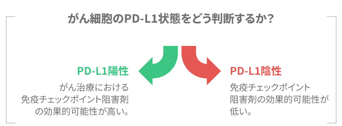 PD-L1の発現状態を評価する診断手順の図解