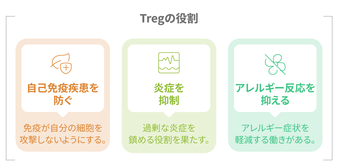 Treg細胞の役割を視覚的に示したイラスト
