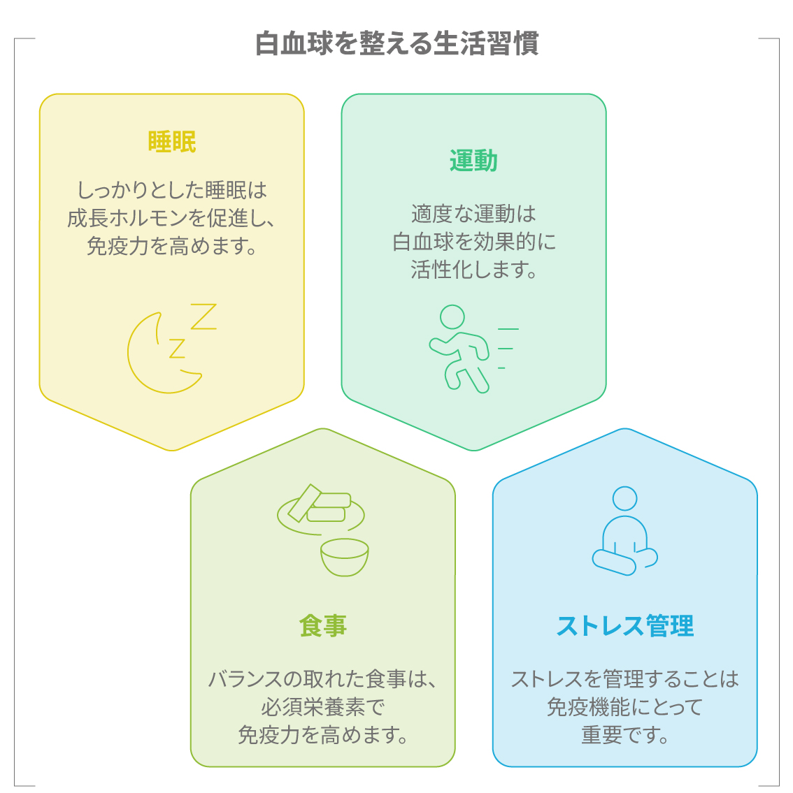 白血球の働きを整える生活習慣（睡眠・運動・食事・ストレス管理）を示した図