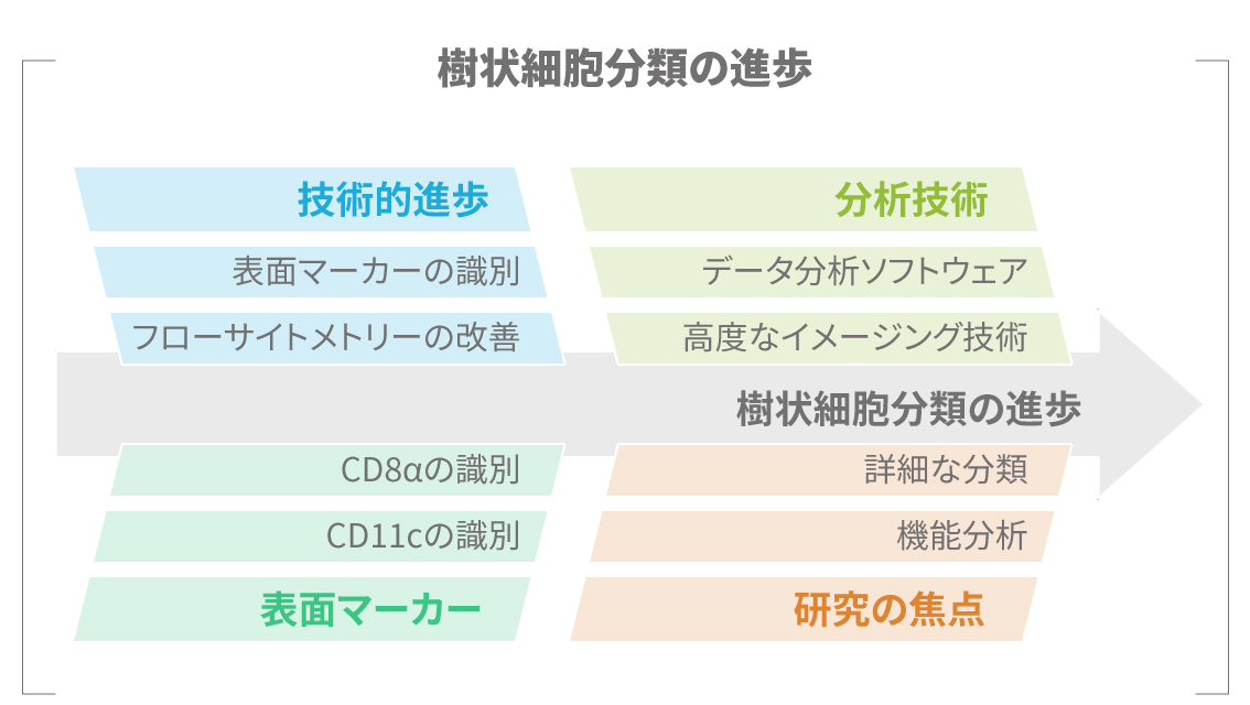 研究と未来の免疫療法に関する図