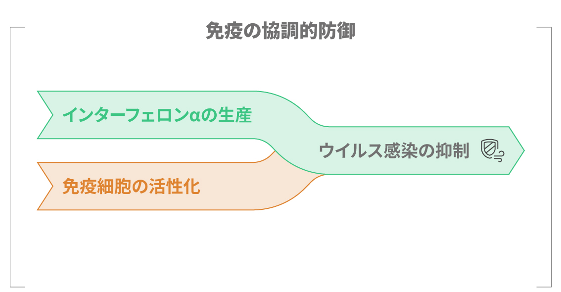 pDCがネットワーク状に反応を伝えるイメージ