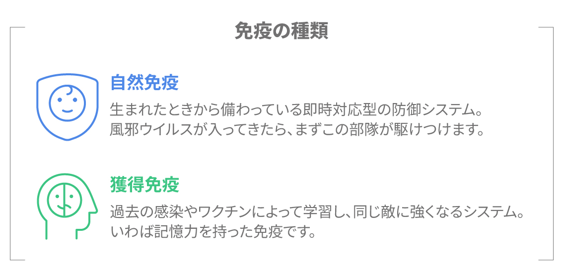 自然免疫と獲得免疫の分類図