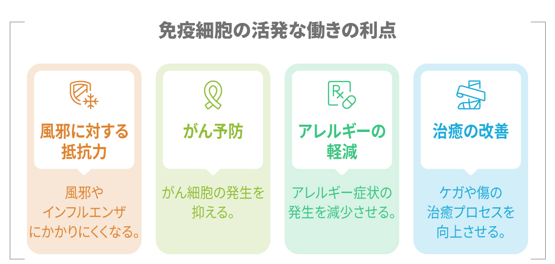 免疫細胞が活発な状態を表す図