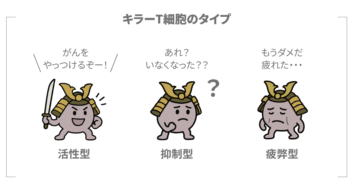キラーT細胞の3つのタイプの説明