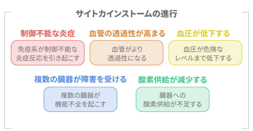 サイトカインの放出と炎症の連鎖の図解