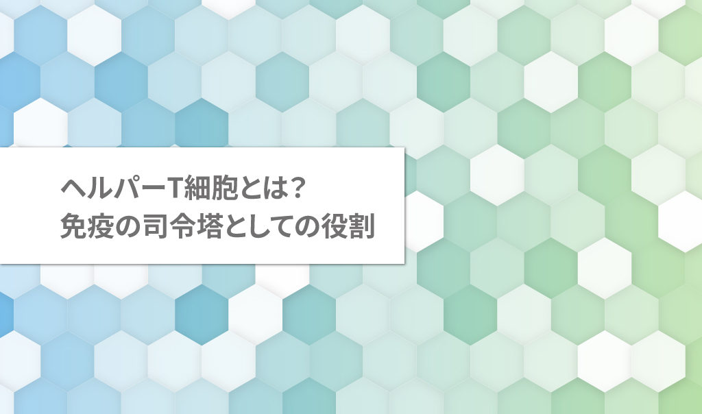 ヘルパーT細胞とは?免疫の司令塔としての役割というタイトルが書かれたアイキャッチ画像