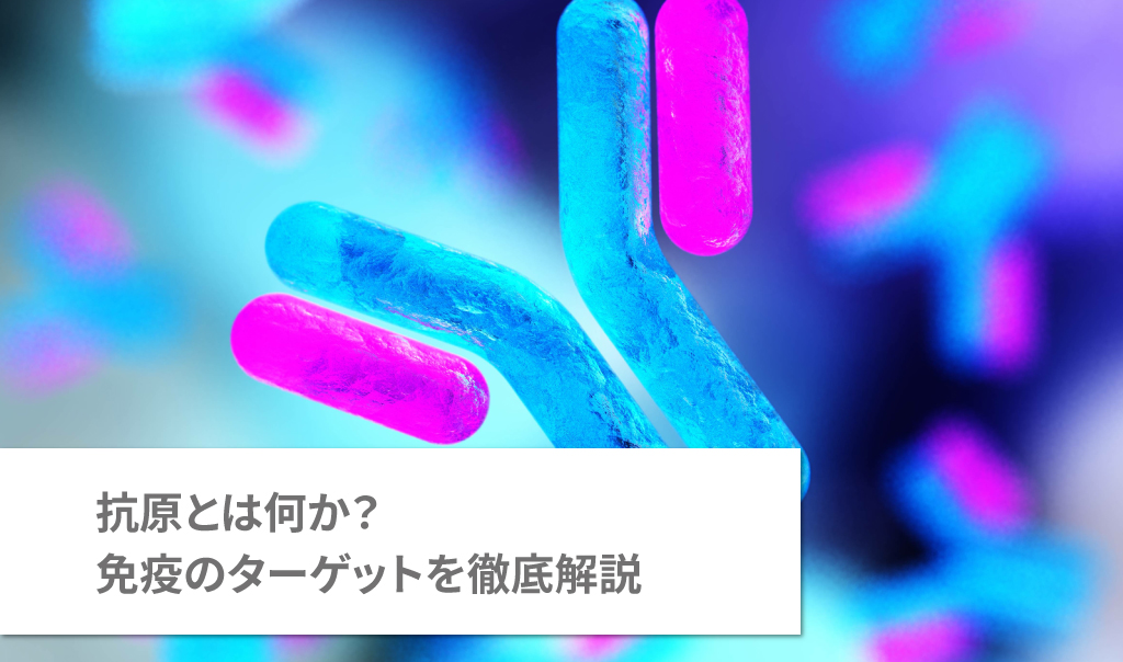 抗原とは何か？免疫のターゲットを徹底解説