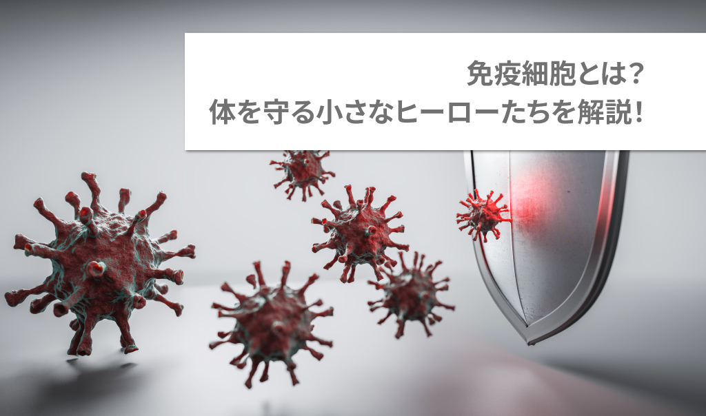 免疫細胞とは？体を守る小さなヒーローたちを解説！