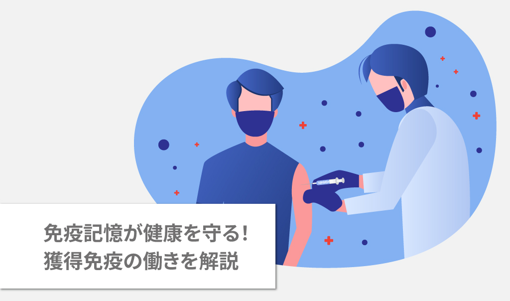 免疫記憶が健康を守る!獲得免疫の働きを解説