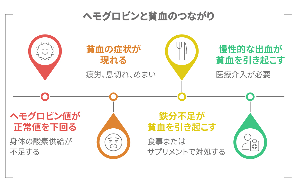 ヘモグロビン値の低下が貧血を引き起こす流れを示す図。鉄不足や慢性的な出血との関係を解説。