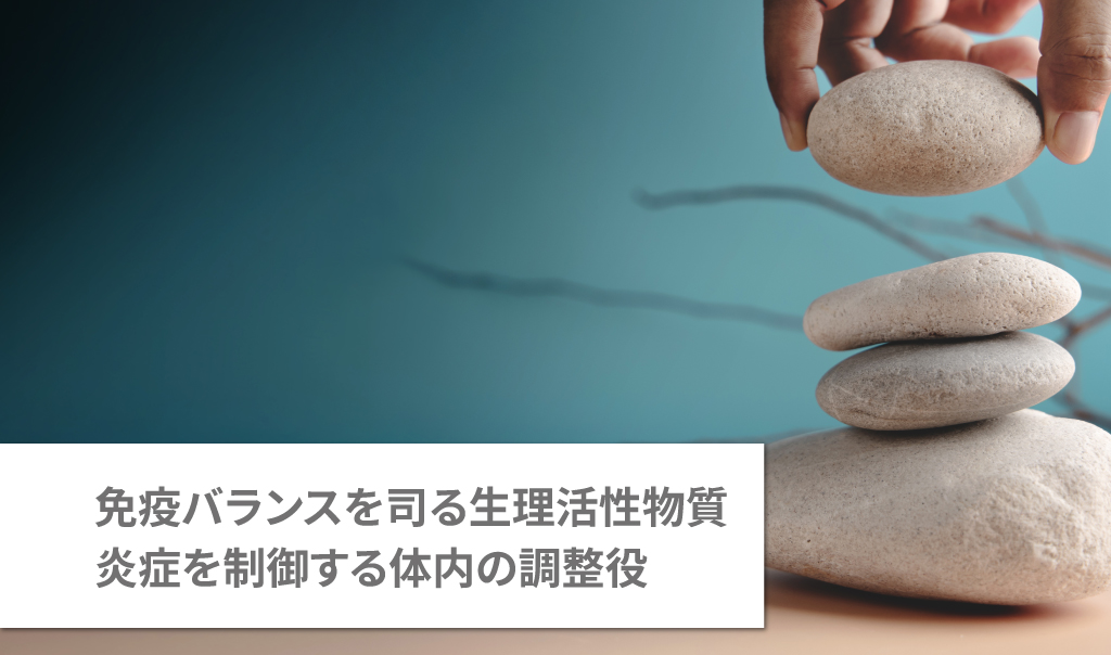 免疫バランスを司る生理活性物質　炎症を制御する体内の調整役