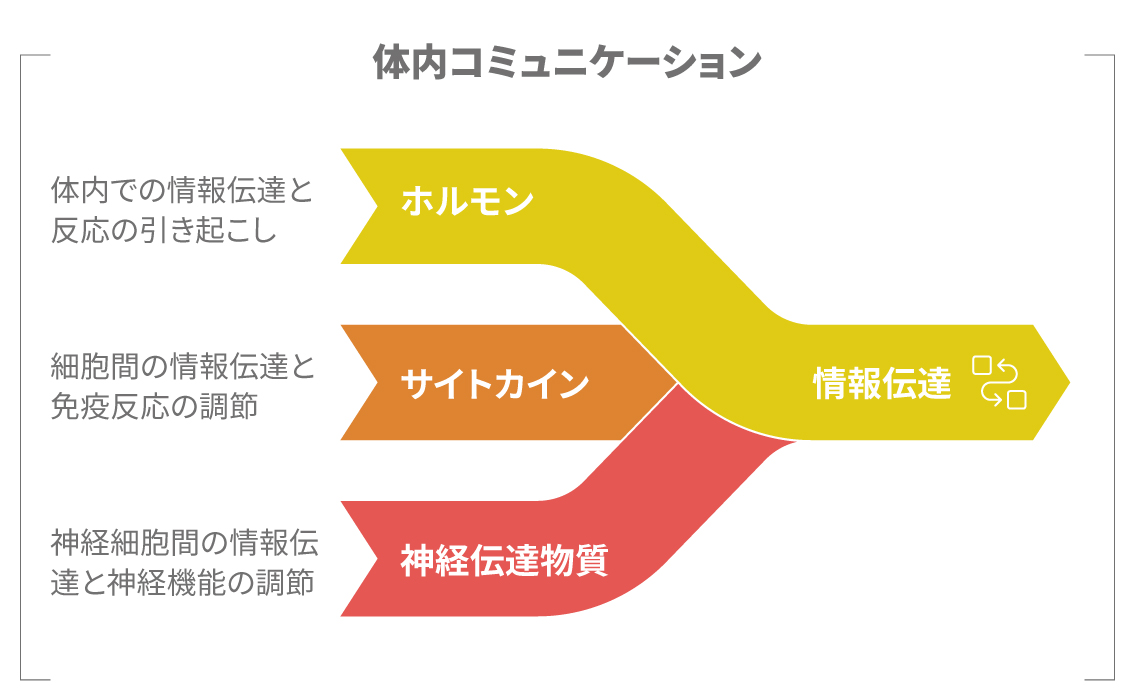 ホルモンやサイトカインなど代表的な生理活性物質