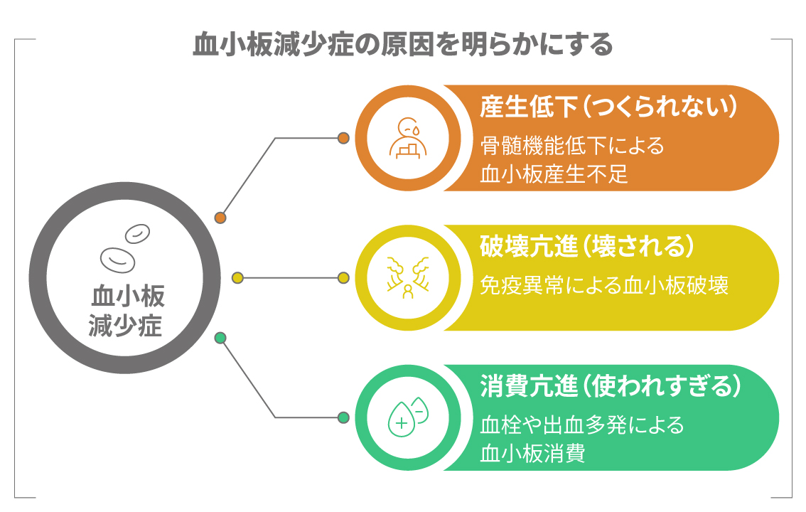 血小板減少症の主な原因を示す図。産生低下、破壊亢進、消費亢進の3つの分類。