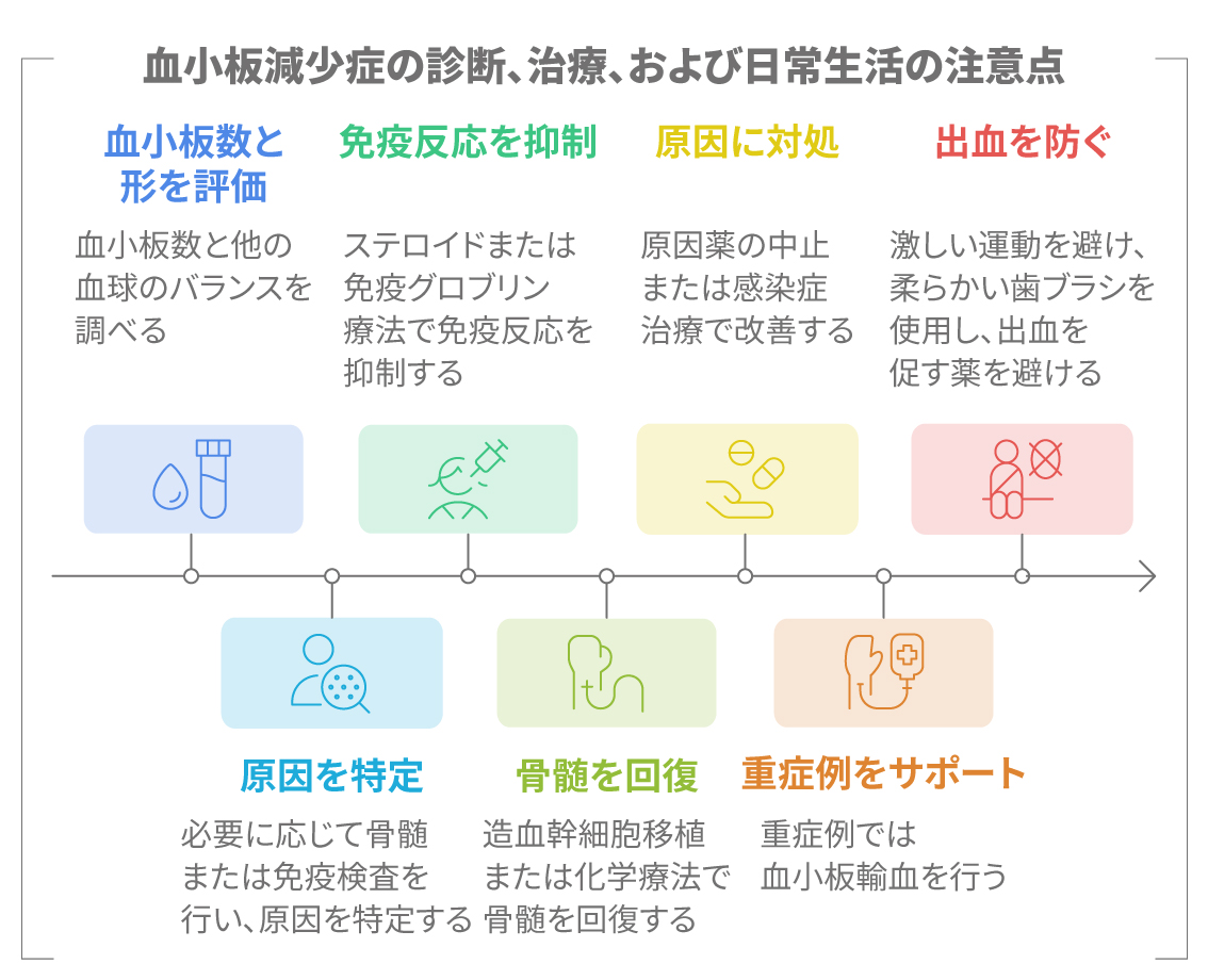 血小板減少症の診断、治療、日常生活の注意点をまとめたフロー図。