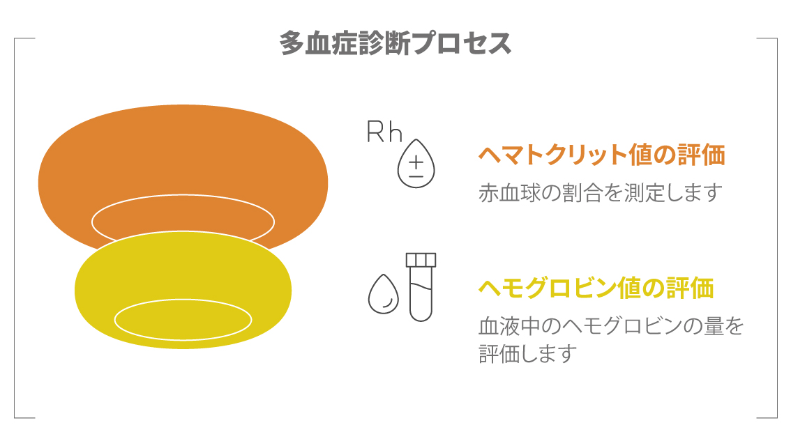 ヘマトクリット値・ヘモグロビン値の検査イメージ