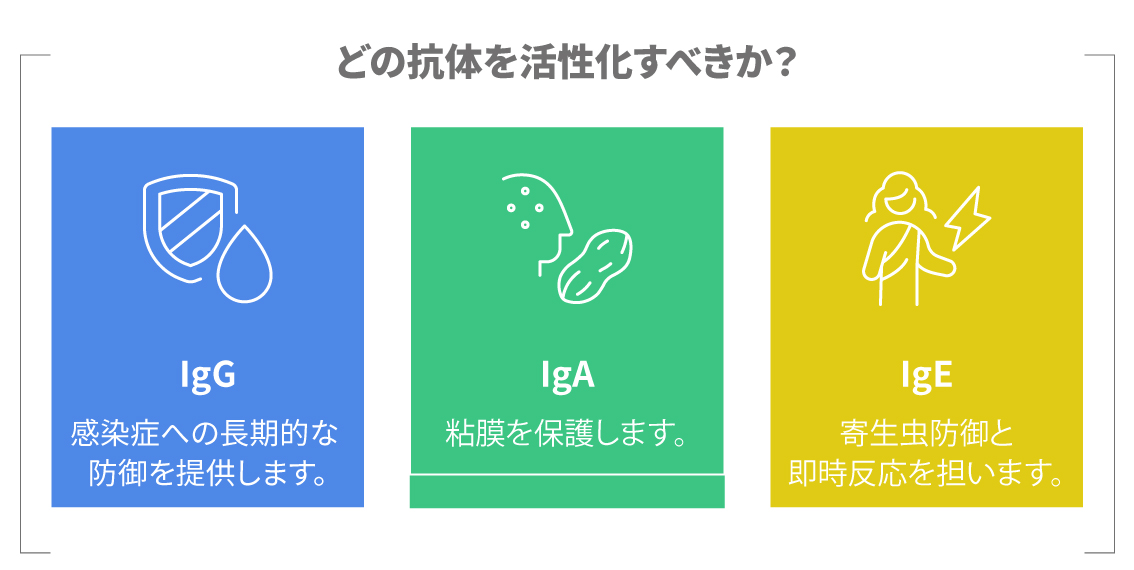 IgE抗体とIgG・IgAなど他の抗体の役割の違いを示す図