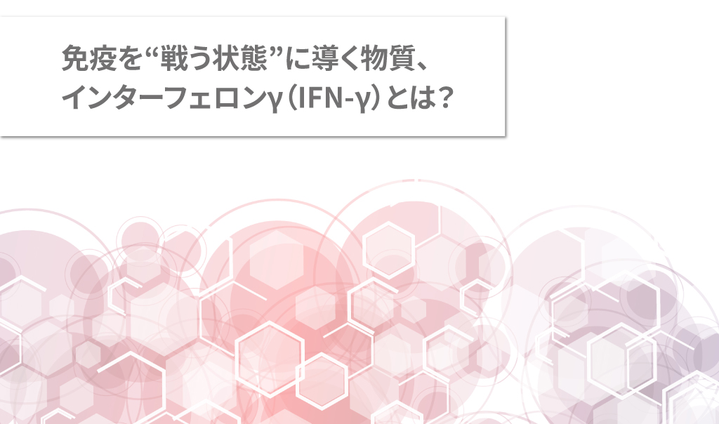 免疫を“戦う状態”に導く物質、インターフェロンγ（IFN-γ）とは？