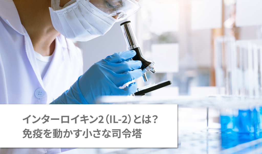 インターロイキン2（IL-2）とは？免疫を動かす小さな司令塔