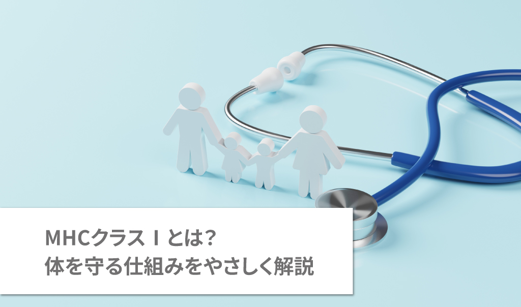 MHCクラスⅠとは？体を守る仕組みをやさしく解説