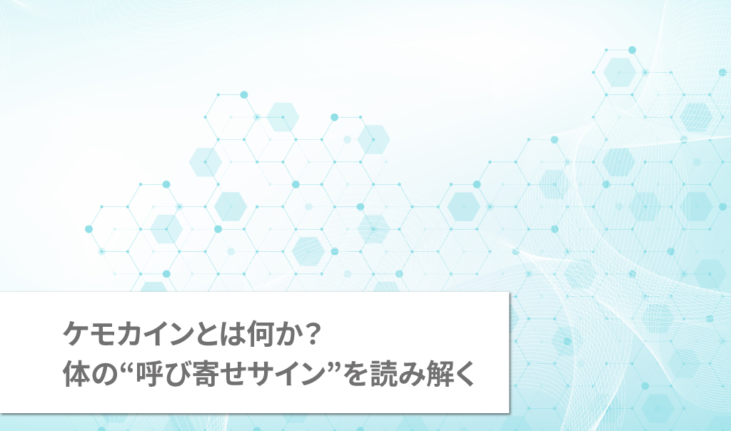 ケモカインとは何か？体の“呼び寄せサイン”を読み解く
