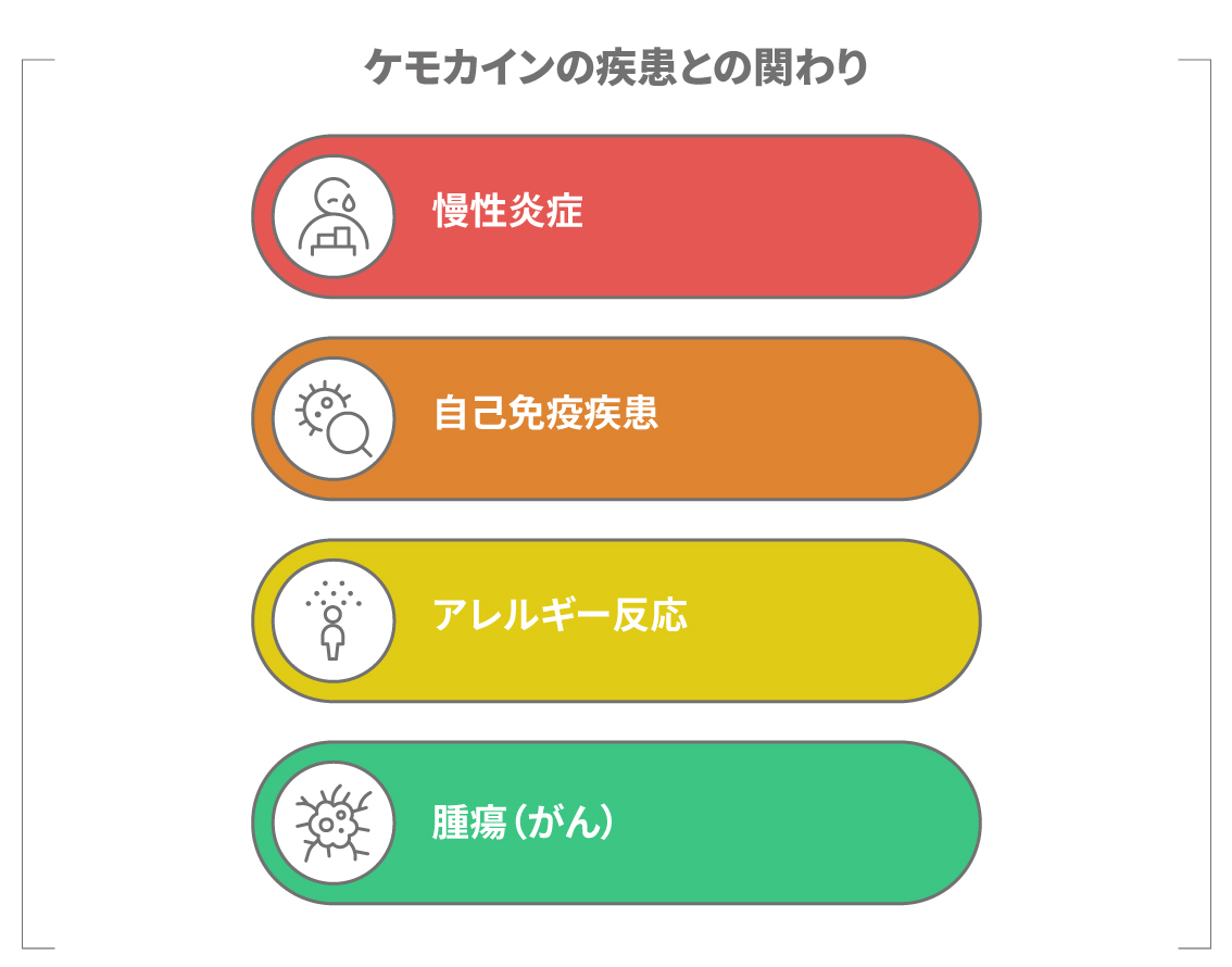ケモカインと疾患の関わり（慢性炎症・自己免疫疾患・アレルギー反応・腫瘍）をまとめた図