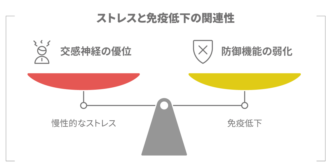生活習慣が免疫を支えるイメージ図 