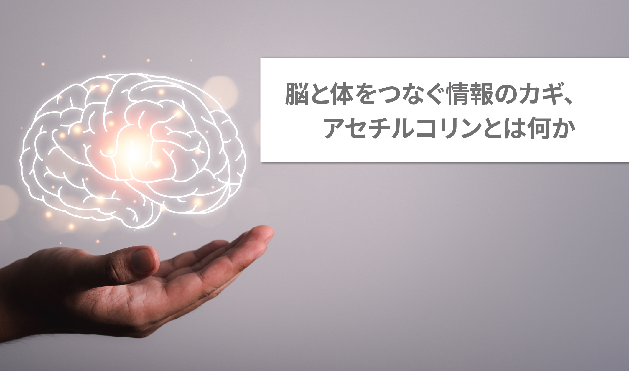 手の上に発光する脳のイラスト。アセチルコリンなど脳内物質のイメージ