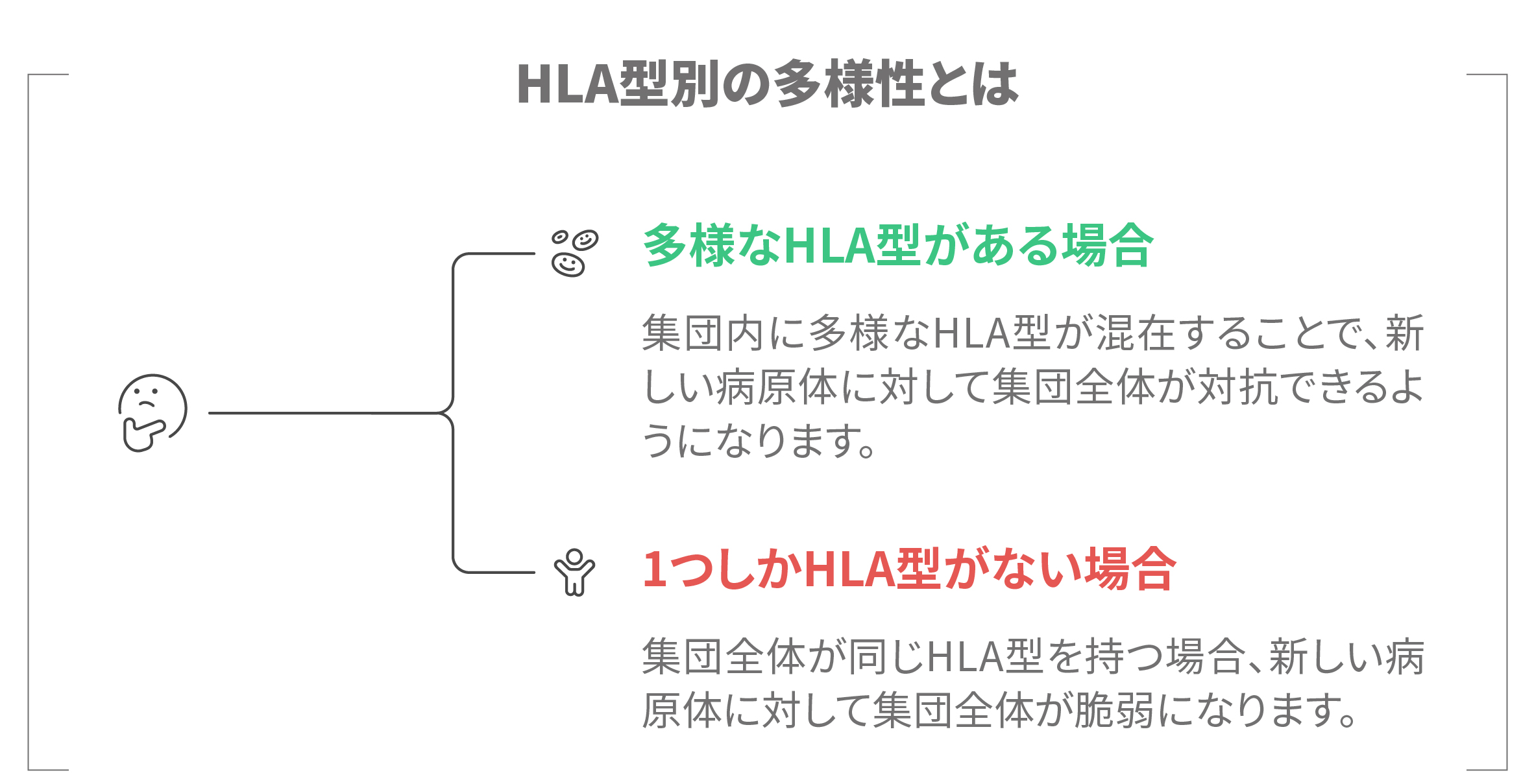 HLA型別の多様性がある集団と1種類しかない集団を比較し、新しい病原体への強さの違いを示した図