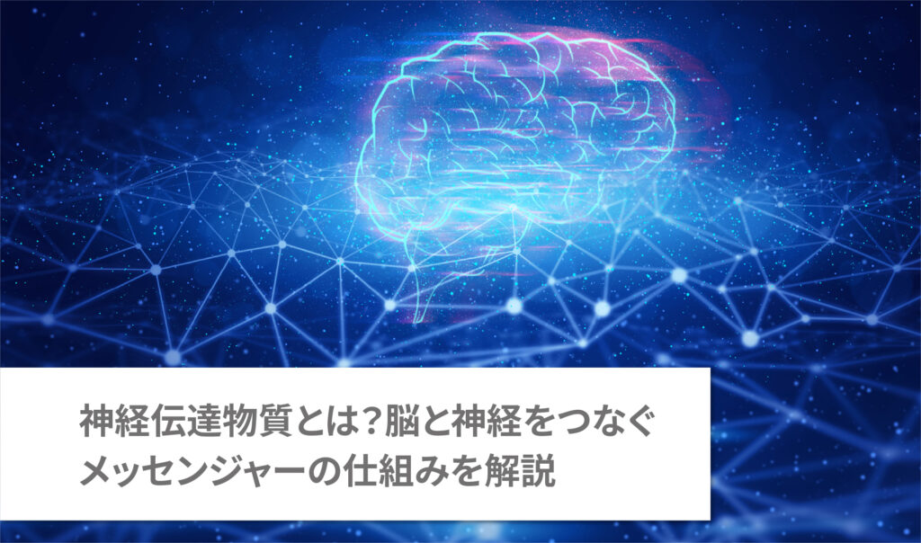 神経伝達物質とは？脳と神経をつなぐメッセンジャーの仕組みを解説