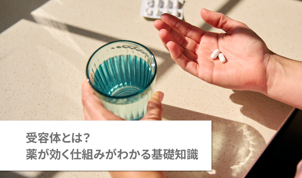 受容体とは？薬が効く仕組みがわかる基礎知識