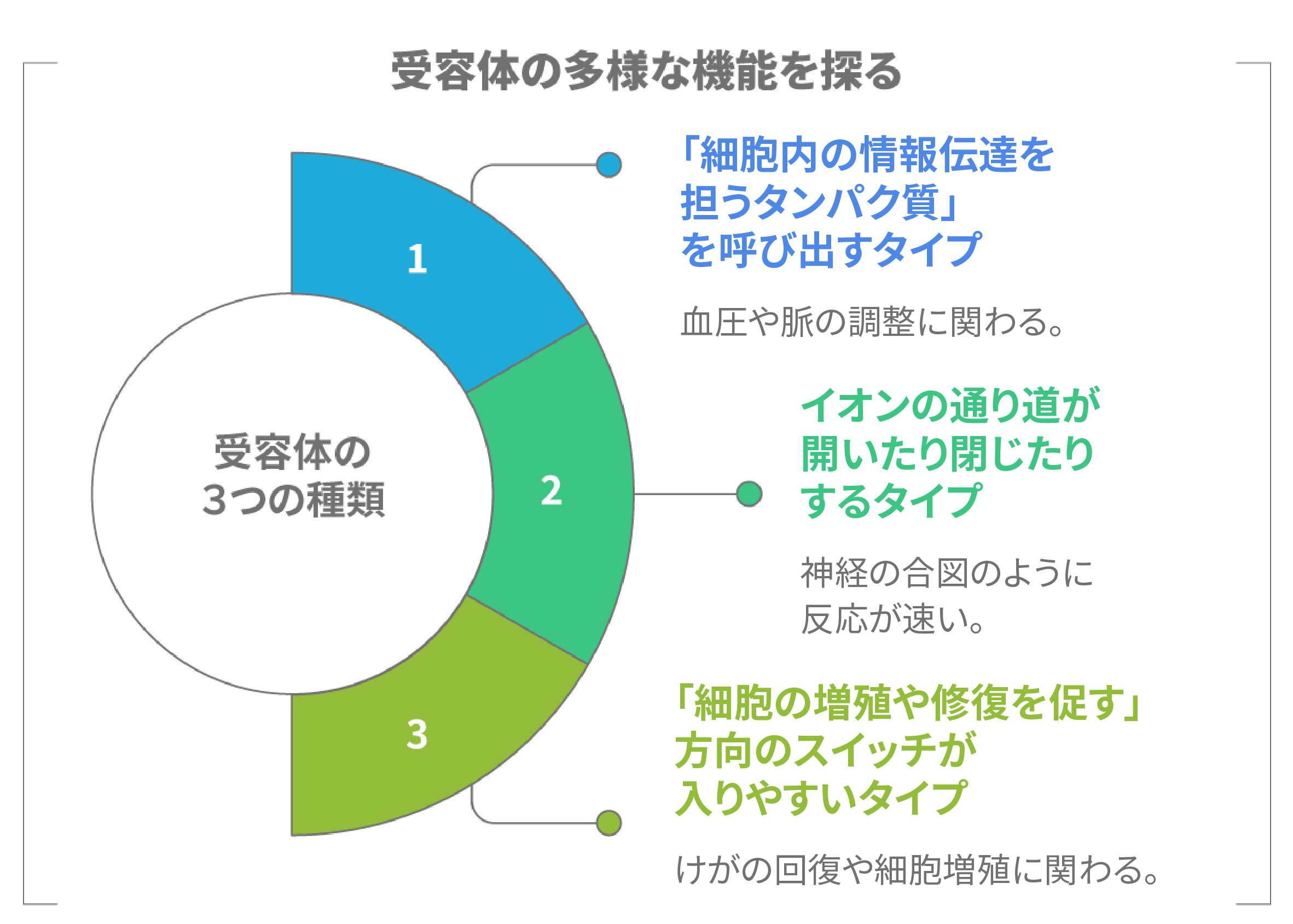 受容体の3つの種類を示した図